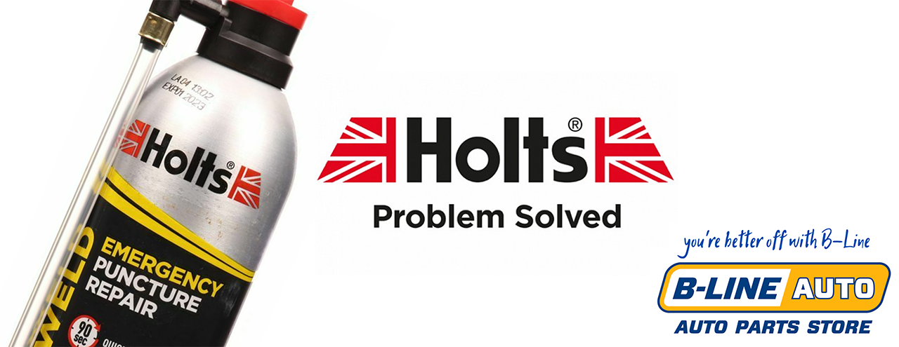 slide - Slide 08 – Holts Problem Solved